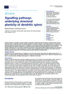 BJP  British Journal of Pharmacology  DOI:j01328.x