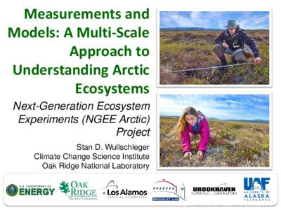 Measurements and Models: A Multi-Scale Approach to Understanding Arctic Ecosystems Next-Generation Ecosystem