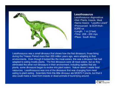 Lesothosaurus Lesothosaurus diagnosticus •Diet: Plants, Insects, Meat •Name means: “Lesotho Lizard” •Pronounced: le-SOH-thohSORE-us •Length: 1 m (3 feet)