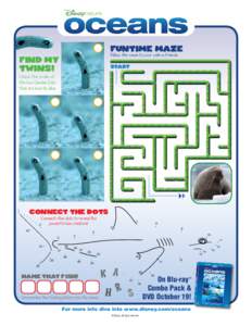 Funtime maze Follow the maze to your walrus friends.: Find My Twins!