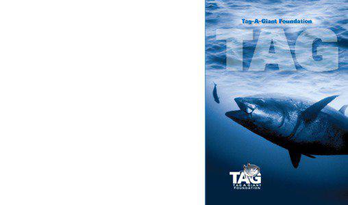 Thunnus / Tuna / Pacific bluefin tuna / Barbara Block / Overfishing / Bluefin trevally / Southern bluefin tuna / Fish / Scombridae / Atlantic bluefin tuna