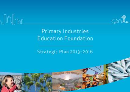 Primary Industries Education Foundation S t ra t e g i c P l a n –  Introduction The first three years of the company’s operation