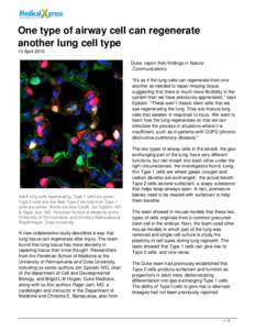 One type of airway cell can regenerate another lung cell type