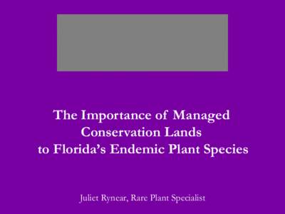 The Importance of Managed Conservation Lands to Florida’s Endemic Plant Species Juliet Rynear, Rare Plant Specialist  Bok Tower Gardens