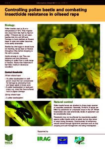 HGCA  Information Sheet 04/Winter[removed]Controlling pollen beetle and combating insecticide resistance in oilseed rape