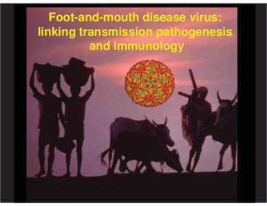 Foot-and-mouth disease virus: linking transmission pathogenesis and immunology