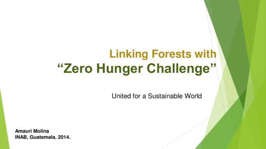 Linking Forests with  “Zero Hunger Challenge” United for a Sustainable World  Amauri Molina