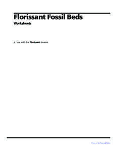 Florissant Fossil Beds Worksheets • Use with the Florissant lessons.  Views of the National Parks