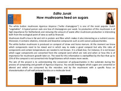 Edita Jurak How mushrooms feed on sugars The white button mushroom Agaricus bisporus (“witte champignon”) is one of the most popular Dutch “vegetables”. A typical person eats one box of champignons per week. So p
