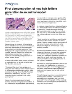 First demonstration of new hair follicle generation in an animal model