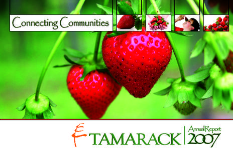 Community engagement / Caledon Institute of Social Policy / Larix laricina / Tamarack /  Edmonton / Tamarack /  Best of West Virginia / Hamilton Community Foundation / E-learning / West Virginia / Flora of the United States / Education