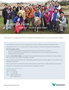 Agriculture in New Zealand / Sheep shearing / The Farm / Biology / Agriculture / Sheep / Zoology / Agriculture in Australia