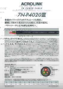 7N-P4020 III omote_税別