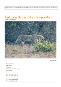 Individuelle Reisen und Safaris in Südafrika, Namibia, Botswana, Zambia, Mozambik, Tanzania, Zimbabwe, Uganda, Ruanda, Gabun  Auf den Spuren der Leoparden geführte Camping Safari  Reisevorschlag