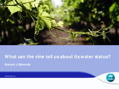 What can the vine tell us about its water status? Everard J. Edwards Irrigation management The basics: We irrigate to produce an economically