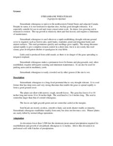 Grasses STREAMBANK WHEATGRASS (Agropyron riparian) Streambank wheatgrass is native to the northwestern United States and adjacent Canada. Despite its name, it is not restricted to riparian sites, but has good drought tol