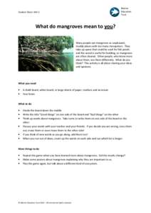 Biota / Aquatic ecology / Avicennia marina / Buttress root / Ecological values of mangrove / Florida mangroves / Flora / Biogeography / Mangroves