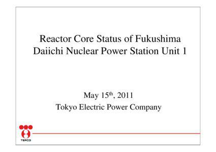 Reactor Core Status of Fukushima Daiichi Nuclear Power Station Unit 1