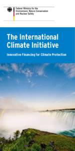 The International Climate Initiative