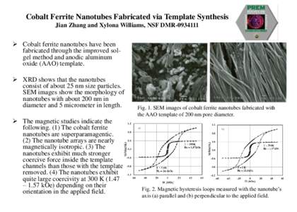 Cobalt Ferrite Nanotubes Fabricated via Template Synthesis Jian Zhang and Xylona Williams, NSF DMR[removed]  Cobalt ferrite nanotubes have been fabricated through the improved solgel method and anodic aluminum oxide (A