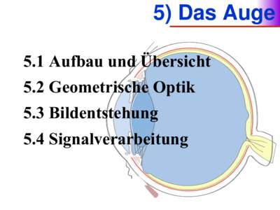 5) Das Auge 5.1 Aufbau und Übersicht 5.2 Geometrische Optik 5.3 Bildentstehung 5.4 Signalverarbeitung