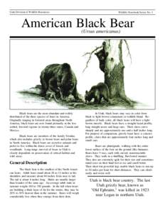 Utah Division of Wildlife Resources  Wildlife Notebook Series No. 1 American Black Bear (Ursus americanus)
