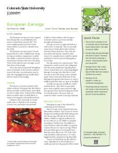 European Earwigs Fact Sheet No.	[removed]Insect Series| Home and Garden  by W.S. Cranshaw *