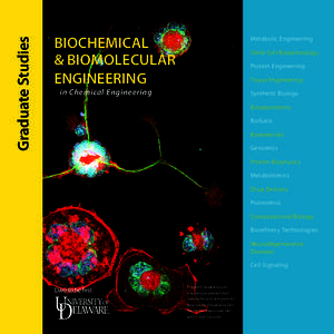 Graduate Studies  BIOCHEMICAL & BIOMOLECULAR ENGINEERING