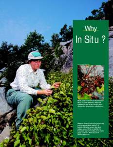 Why  In Situ ? SCOTT BAUER (K8273-12)  Rock grape rootstock is important to