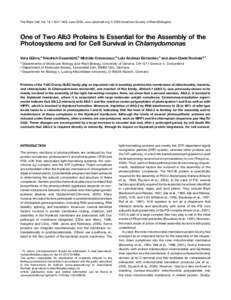 The Plant Cell, Vol. 18, 1454–1466, June 2006, www.plantcell.org ª 2006 American Society of Plant Biologists  One of Two Alb3 Proteins Is Essential for the Assembly of the Photosystems and for Cell Survival in Chlamyd