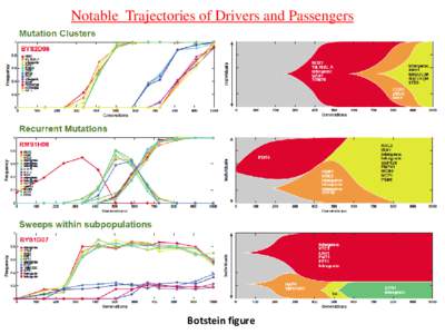 Notable Trajectories of Drivers and Passengers  Botstein figure 