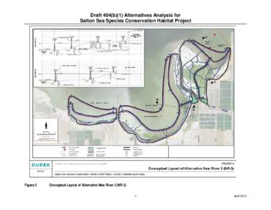 Draft 404(b)(1) Alternatives Analysis for Salton Sea Species Conservation Habitat Project Figure 3  Conceptual Layout of Alternative New River 3 (NR-3)
