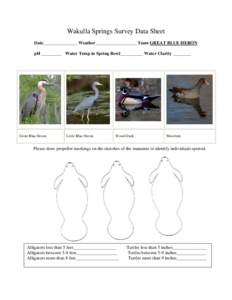 Wakulla Springs Survey Data Sheet Date_______________ Weather__________________ Team GREAT BLUE HERON pH _________ Water Temp in Spring Bowl__________ Water Clarity ________ Great Blue Heron