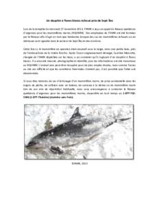 Un dauphin à flancs blancs échoué près de Sept-Îles Lors de la tempête du mercredi 27 novembre 2013, l’AMIK a reçu un appel du Réseau québécois d’urgences pour les mammifères marins (RQUMM). Des employées