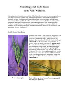 Land management / Weed control / Herbicide / Exapion fuscirostre / Cytisus scoparius / Leucoptera spartifoliella / Picloram / Broom / Genista monspessulana / Invasive plant species / Agriculture / Flora