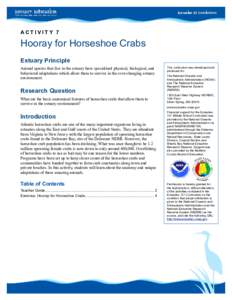 ACTIVITY 7  Hooray for Horseshoe Crabs Estuary Principle Animal species that live in the estuary have specialized physical, biological, and behavioral adaptations which allow them to survive in the ever-changing estuary