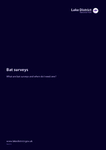 Bat surveys What are bat surveys and when do I need one? www.lakedistrict.gov.uk May 2012