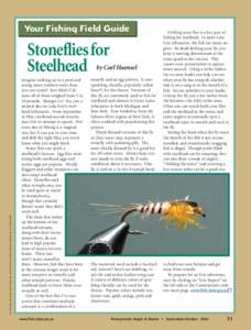 Your Fishing Field Guide  Stoneflies for Steelhead  by Carl Haensel