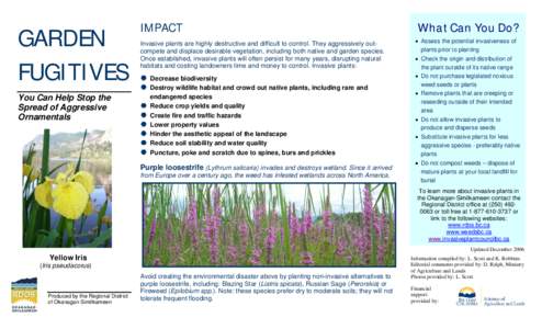 Invasive plant species / Lythrum salicaria / Iris pseudacorus / Elaeagnus / Introduced species / Iris / Invasive species / Elm / Ulmus pumila / Weed