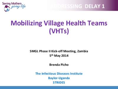 ADDRESSING DELAY 1  Mobilizing Village Health Teams (VHTs) SMGL Phase II Kick-off Meeting, Zambia 5th May 2014