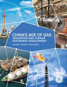 CHINA’s AGE OF GAS: INNOVATION AND CHANGE FOR ENERGY DEVELOPMENT MICHAEL F. FARINA &  ADAM WANG  table of contents