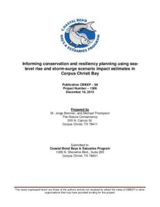 Hurricane Ike / Coastal geography / Corpus Christi /  Texas / Corpus Christi Bay / Nueces Bay / Current sea level rise / Corpus Christi / Oso Bay / Port Aransas /  Texas / Geography of Texas / Texas / Corpus Christi metropolitan area