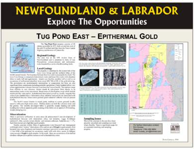 NEWFOUNDLAND & LABRADOR Explore The Opportunities TUG POND EAST – EPITHERMAL GOLD F  A