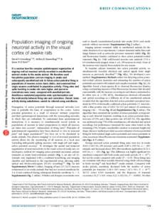 © 2008 Nature Publishing Group http://www.nature.com/natureneuroscience  B R I E F C O M M U N I C AT I O N S Population imaging of ongoing neuronal activity in the visual