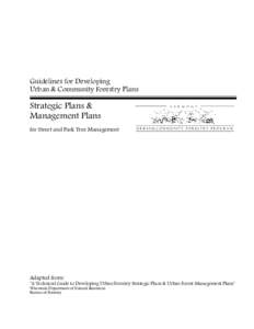 Combined Strategic and Management Plan