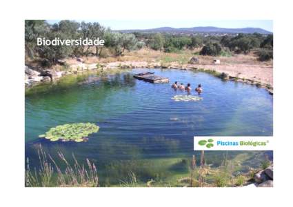 © Bio Piscinas, LdaBiodiversidade  O que é uma piscina biológica?