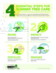 4  Summer isn’t always so sweet to your trees. Help them from falling victim to summer storms, pests and diseases by following the Davey Summer Checklist.  1
