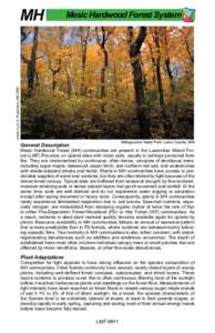 Field Guide to the Native Plant Communities of Minnesota, The Laurentian Mixed Forest Province, Ecological System Summaries