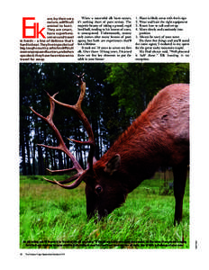 When a successful elk hunt occurs, it’s nothing short of pure ecstasy. The majestic beauty of taking a proud, regal herd bull, tending to his harem of cows, is unsurpassed. Unfortunately, ecstasy only comes after many 