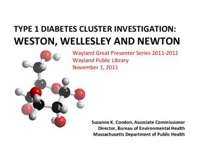 TYPE 1 DIABETES CLUSTER INVESTIGATION: WESTON, WELLESLEY AND NEWTON